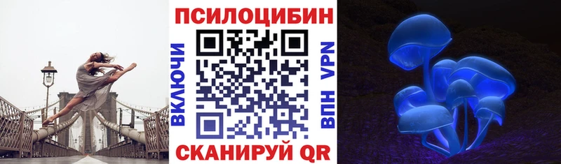 Псилоцибиновые грибы Psilocybine cubensis  Купить где  Бутурлиновка 
